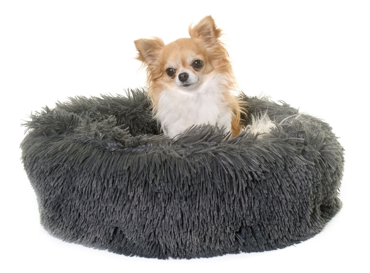 per Cani e Gatti Cuccia calmante per Animali Domestici Cuccia Rotonda Comoda per Dormire in Inverno Calda e Morbida Sinnper